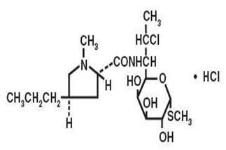 Description: Http://www.druglib.com/img/RX/DM/B0442DC3-7F06-4F67-AB14-F338AE5173E7/clindamycin-image01.jpg